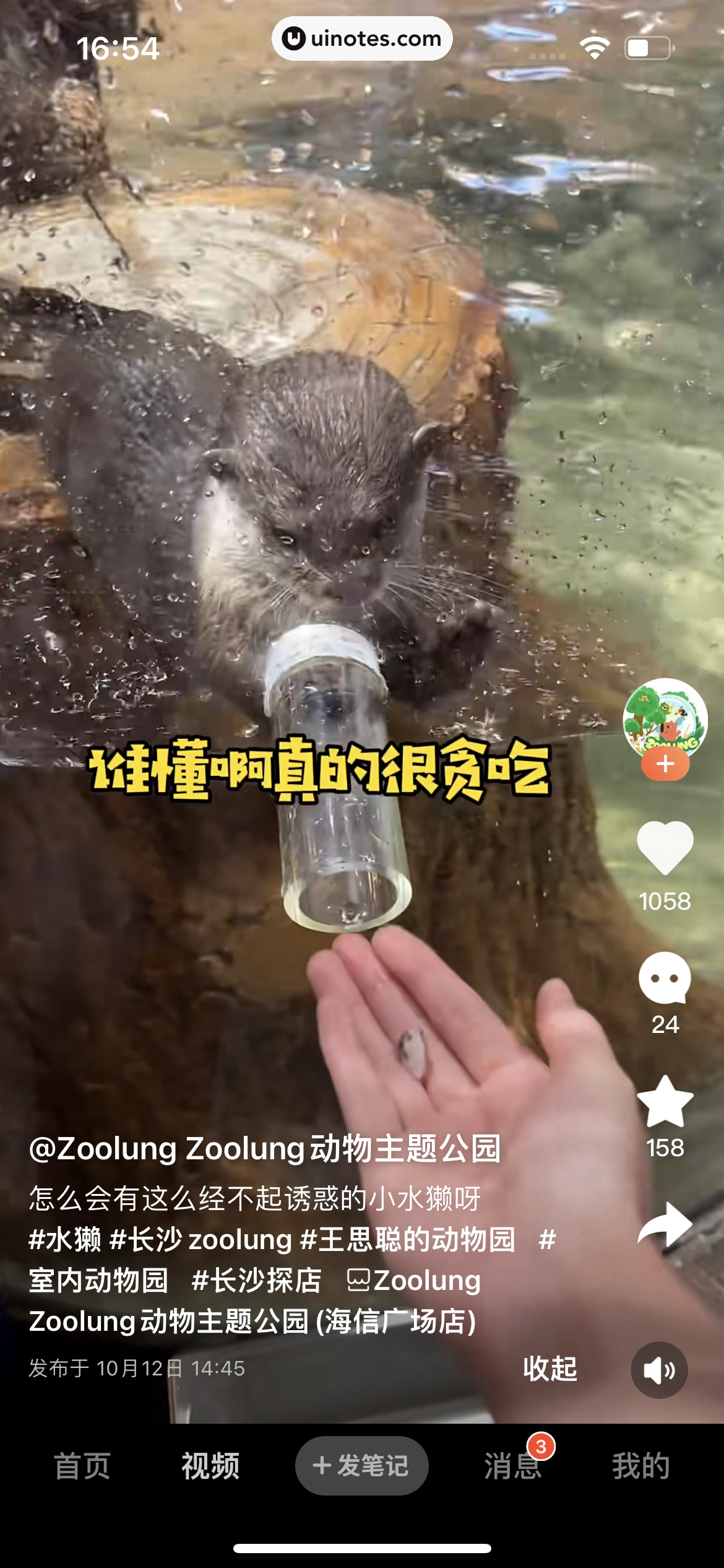 大众点评 App 截图 1243 - UI Notes