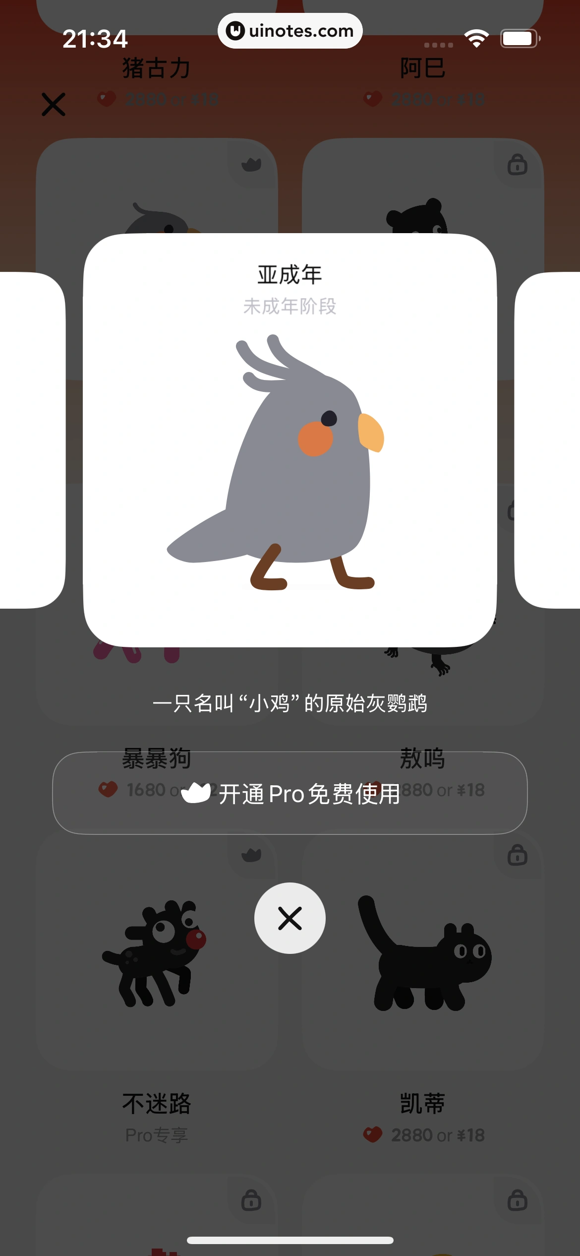 小鸡专注 App 截图 161 - UI Notes