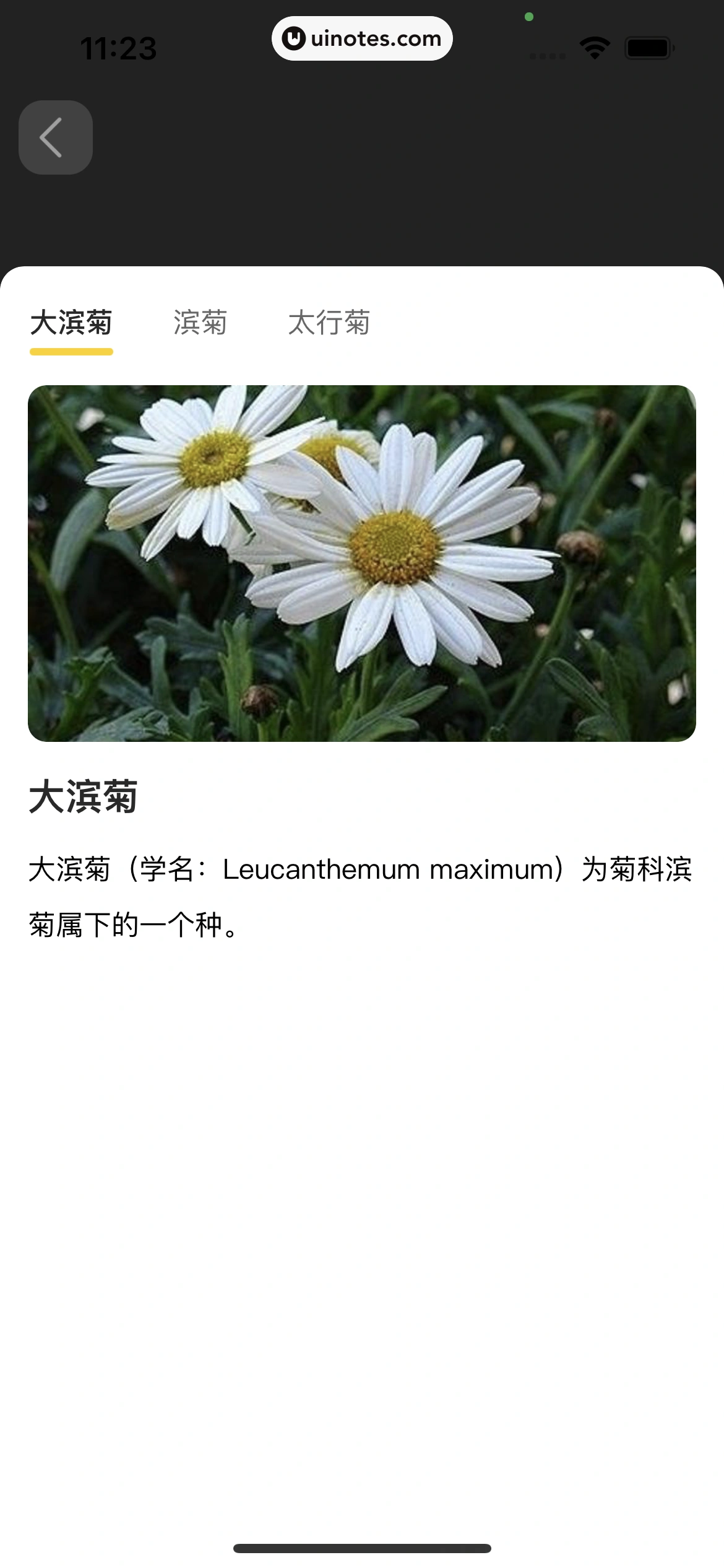 美团 App 截图 0064 - UI Notes