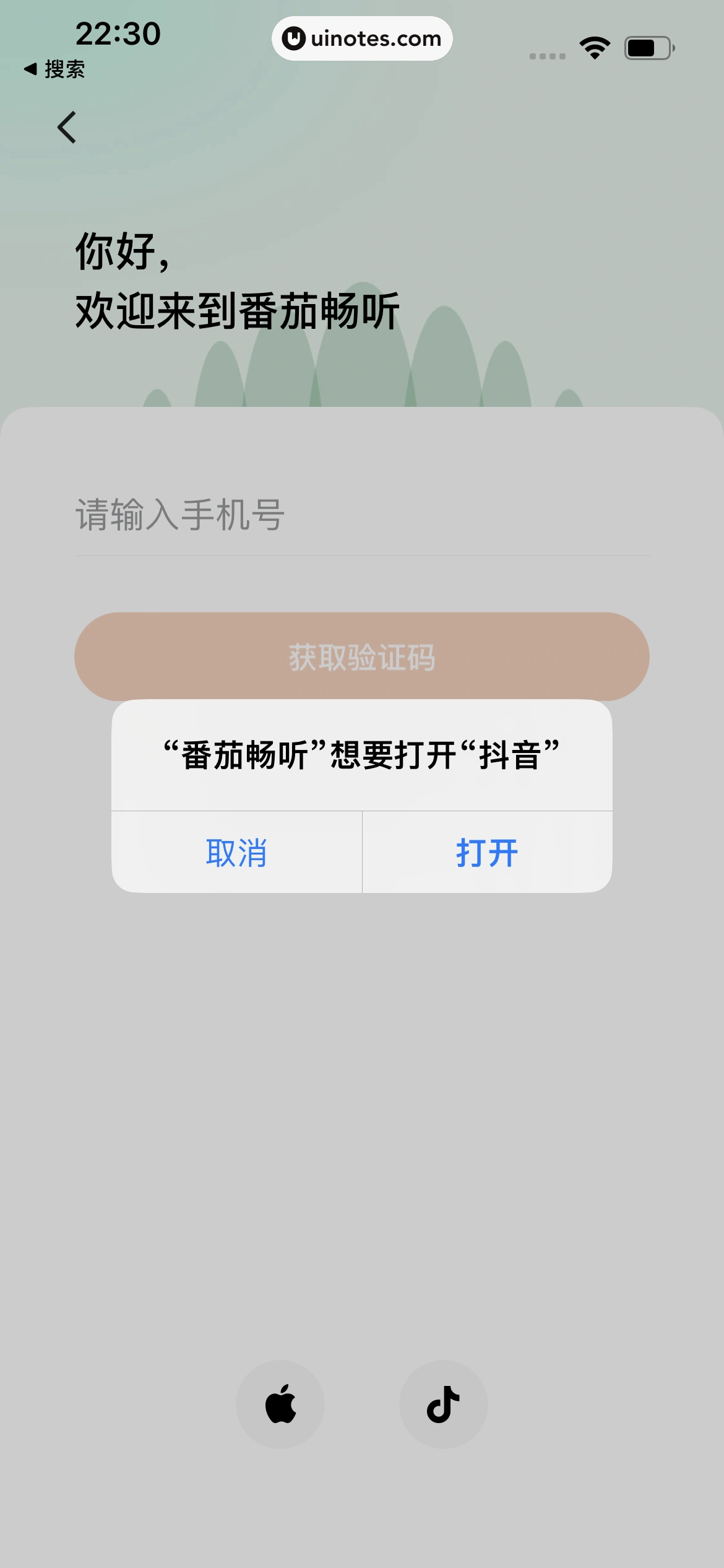 番茄畅听 App 截图 029 - UI Notes